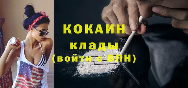 прущие грибы Майский