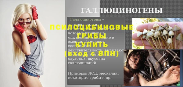 прущие грибы Майский