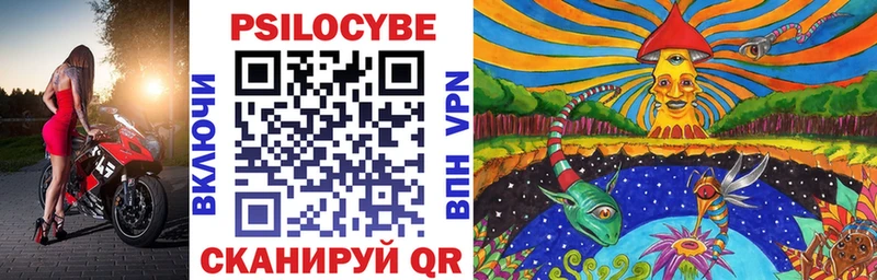 Галлюциногенные грибы Cubensis  Тогучин 